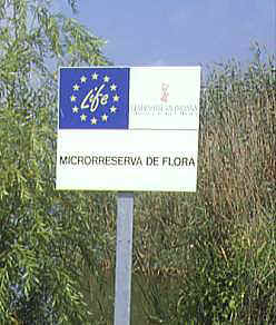 Cartel localizado en la Mata del Fang, en el que se anuncia una microrreserva de flora gestionada por la Consellera de Medio Ambiente y subvencionada por la Unin Europea. 
