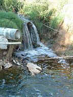 Rambla del Poyo. Vertidos de lixiviados procedentes de NATRACEUTICAL camuflados con agua de refrigeracin. Imagen de 20-5-04. PINCHA PARA VER CON MAS DETALLE (93 kb).
