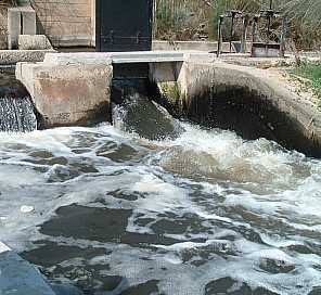 Aguas depuradas sin tratamiento terciario provenientes de la EDAR de Pinedo al Parque Natural de la Albufera en fecha 7-6-2005.