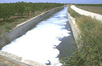 Canal de L'Alqueressia-Azarbe poco antes de la desembocadura al lago de la Albufera
