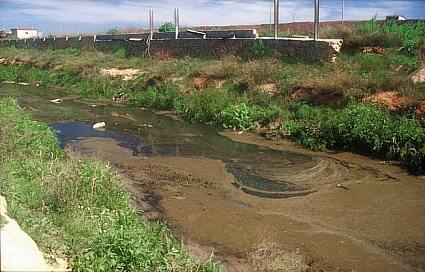 El cauce del barranco del Poyo totalmente contaminado y el muro que separa la planta de compostaje de FERVASA