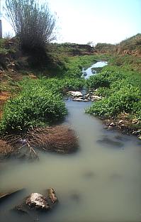 Vertidos de aguas residuales e industriales en el Barranco del Poyo en el término de Quart de Poblet el 5-4-03