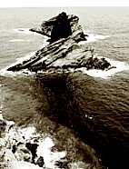 Una imagen de Damin Torres del islote de Columbretes