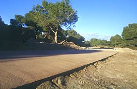 Cementación de viales en la Dehesa en 2001