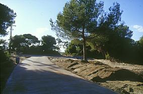 Cementación de viales en la Dehesa en 2001