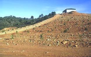 Montes de Pedralba el 5 de diciembre del 2000. (16671 bytes)