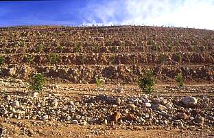 Montes de Pedralba el 5 de diciembre del 2000. (23559 bytes)