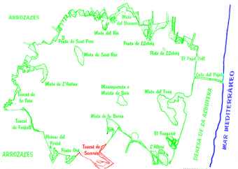 Localización de la Reserva del Tancat de Sacarés en el Lago de la Albufera de Valencia (9150 bytes)