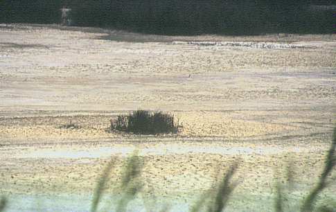Una vista de la laguna occidental el 16 de septiembre del 2000 (21774 bytes)