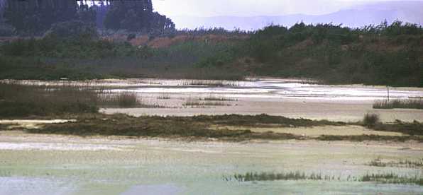 La laguna occidental vista el 16 de septiembre del 2000 (16716 bytes)