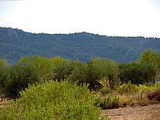 Sierra de Mira. Parte central vista desde la muela de Mira.La vegetación son carrascas y pino. (9549 bytes)