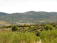 Sierra de Mira desde la Muela. Paraje conocido como "Los Moloncetes" (10755 bytes)