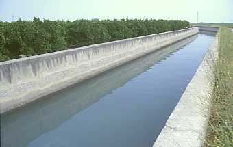 El canal, perfectamente cementado lleva el agua contaminada directamente al lago de La Albufera