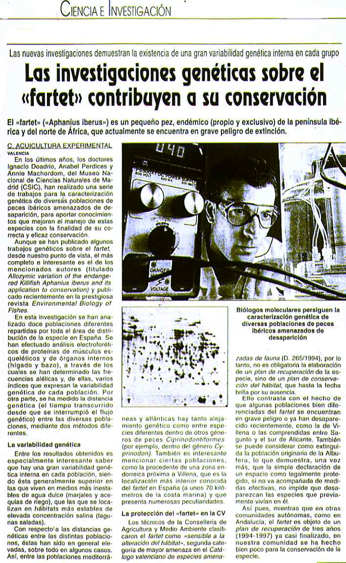 Texto aparecido en el peridico Levante-EMV en octubre de 1996, haciendo referencia a la existencia de una gran variabilidad gentica segn se desprende de la investigaciones realizadas sobre el fartet (146 Kb)