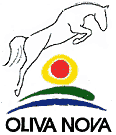 Anagrama que promociona el Mediterranean Equestrian Tour 2012 en Oliva Nova