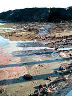 NATRACEUTICAL: Imagen realizada el 20-5-04 a los depósitos de lixiviados. PINCHA PARA VER CON MAS DETALLE (101 kb).