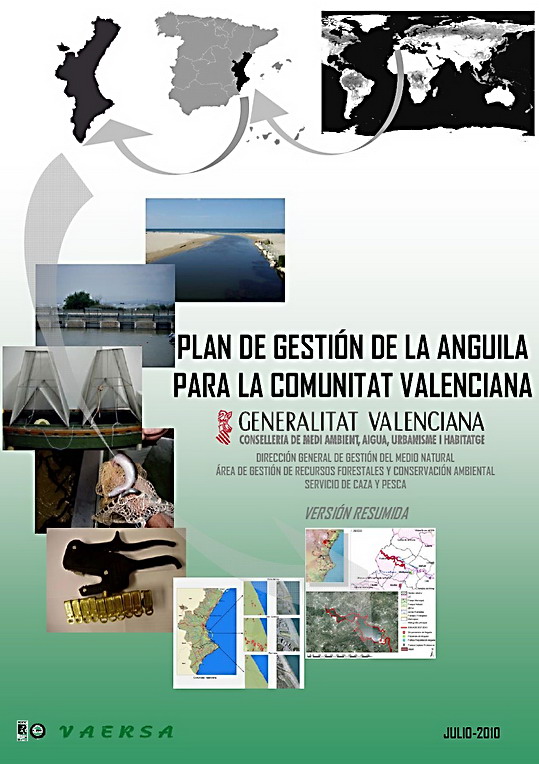 Plan de Gestión de la Anguila para la Comunidad Valenciana 