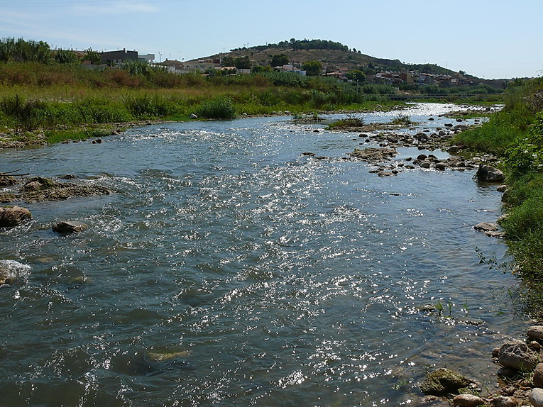 El río Albaida dos días después de la denuncia en prensa por cortar el caudal de agua. Imagen C.A.E. 5.9.2010