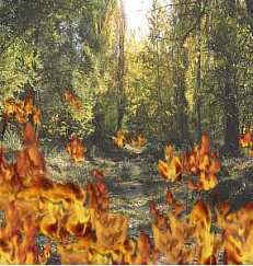 Fuego ficticio sobre una imagen de los bosques de Titaguas.